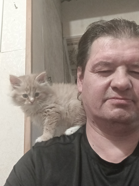 Valentin, Россия, Москва, 48 лет. Познакомлюсь с женщиной для любви и серьезных отношений, брака и создания семьи, воспитания детей, возможно...  Анкета 861222. 