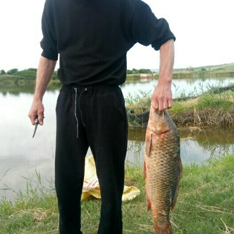 Генндий Григорьев, Россия, Ставрополь, 46 лет, 1 ребенок. Ищу: Нужна половинка сердца, злюку любимая и нежная и главное порядочная для серьёзных отношений  Анкета 862082. 