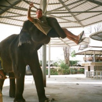 Дмитрий, Россия, Москва, 47 лет