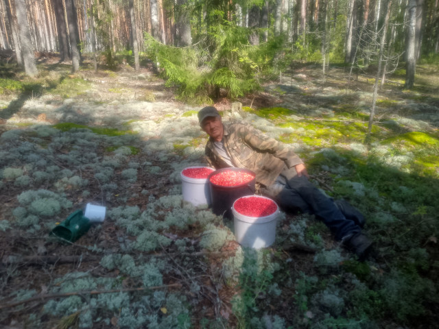 Сергей Щербаков, Россия, Урень. Фото на сайте ГдеПапа.Ру