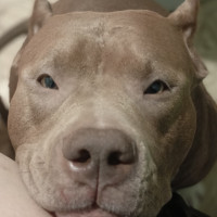 Урсула, Россия, Ижевск, 38 лет