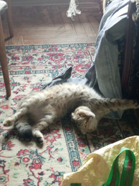 Александр Сенченко, Россия, Майкоп. Фото на сайте ГдеПапа.Ру