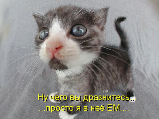 Владимир, Беларусь, Сморгонь, 59 лет, 3 ребенка. Ищу: чтобы IQ>1, т. е. не фисташка вместо мозгов  Анкета 863471. 