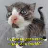 Владимир, Беларусь, Сморгонь, 59 лет