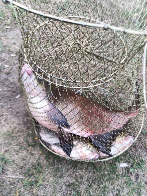 Николай, Россия, Йошкар-Ола. Фото на сайте ГдеПапа.Ру