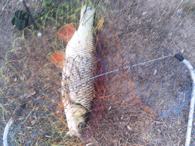 Николай, Россия, Йошкар-Ола. Фото на сайте ГдеПапа.Ру