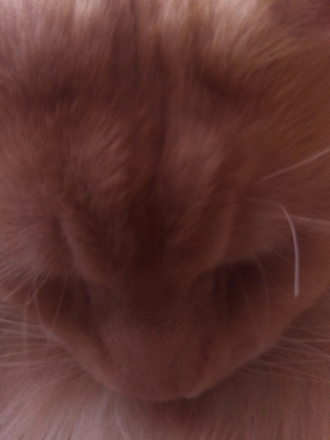 Николай, Россия, Йошкар-Ола. Фото на сайте ГдеПапа.Ру