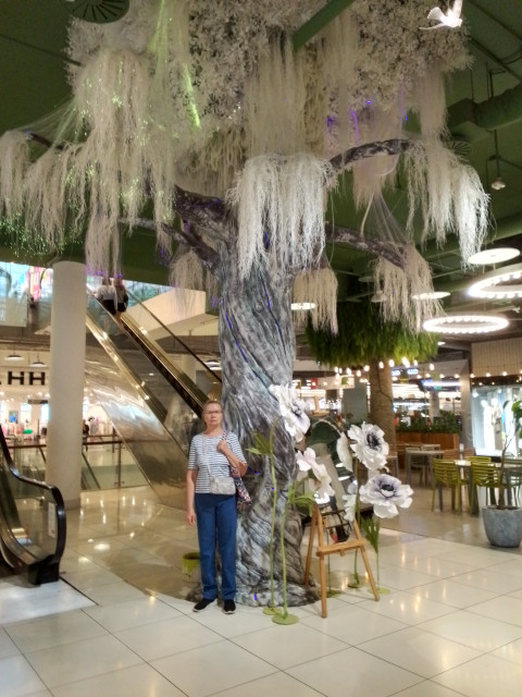 Москва.Торговый центр "Авиатор"