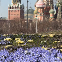 Ирина, Россия, Москва, 51 год