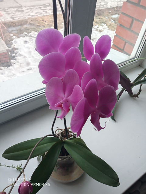 Иван Викторович, Россия, Томск, 47 лет, 2 ребенка. Ищу: Пышные телеса -тонкие манеры
На лицо ужасная -доброая внутри  Анкета 865704. 