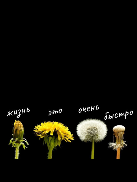 Анатолий, Россия, Москва, 56 лет, 1 ребенок. Он ищет её: женщину для любви и серьезных отношений, брака и создания семьи, дружбы и общения.  Анкета 865970. 