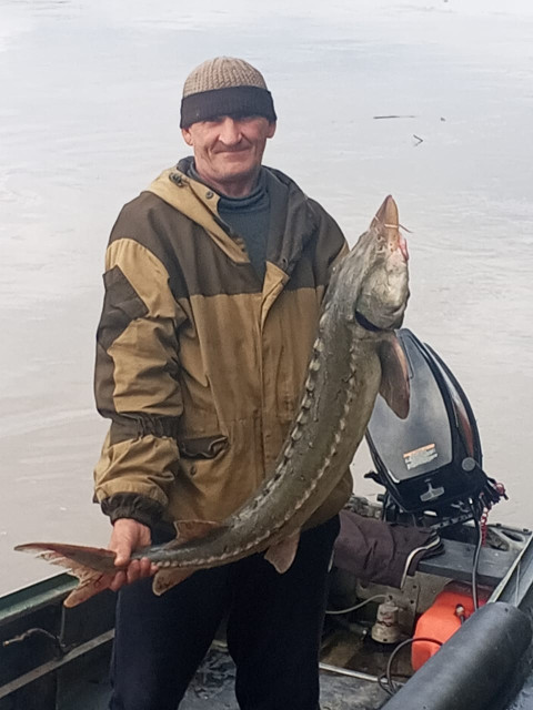 Дмитрий, Россия, Биробиджан, 53 года. Познакомлюсь с женщиной для любви и серьезных отношений.  Анкета 866078. 