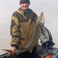 Дмитрий, Россия, Биробиджан, 53 года