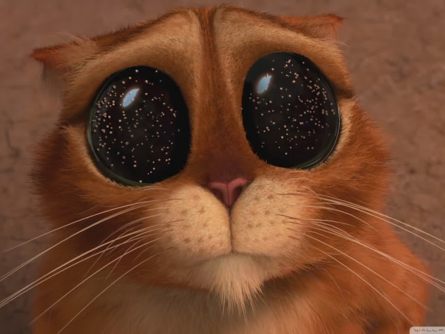 Александр, Россия, Санкт-Петербург, 43 года. Ищу: Не для знакомств, просто общение.  Анкета 866621. 