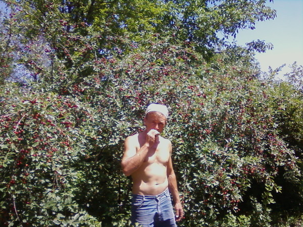 Дмитрий, Тараз, 55 лет, 1 фото. Познакомится с женщиной