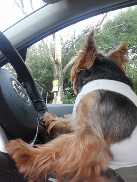 Ольга, Россия, Донецк. Фото на сайте ГдеПапа.Ру