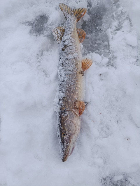 Алексей, Москва, Тимирязевская. Фото на сайте ГдеПапа.Ру