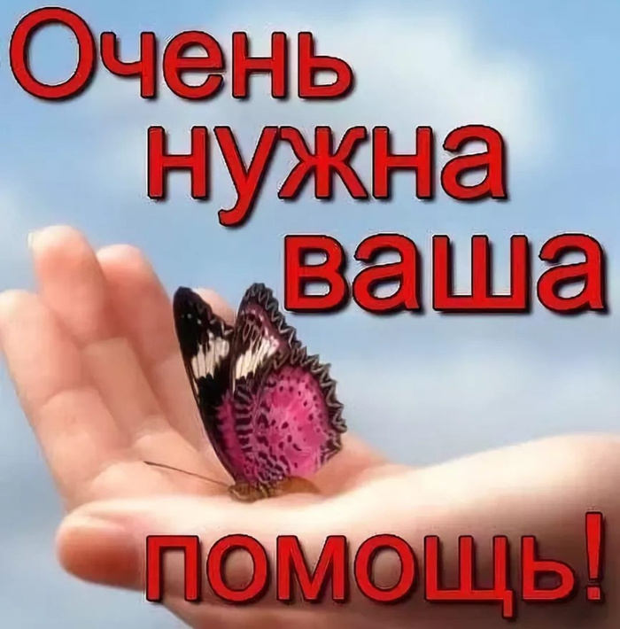 Мне нужна ваша помощь!