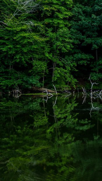 Надежда, Россия, Санкт-Петербург, 36 лет, 1 ребенок. сайт GdePapa.Ru