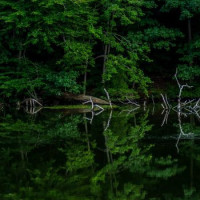 Надежда, Россия, Санкт-Петербург, 36 лет