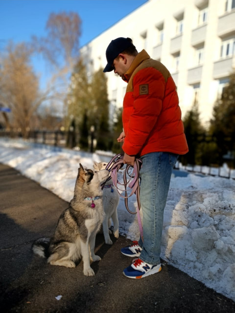 Genkinsin, Россия, Москва. Фото на сайте ГдеПапа.Ру