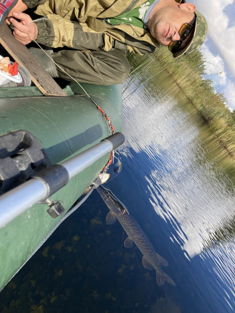 Евгений, Санкт-Петербург, м. Девяткино. Фото на сайте ГдеПапа.Ру