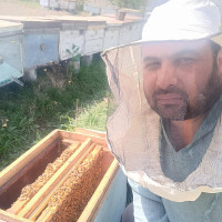 Алик Юлдошев, Россия, Санкт-Петербург, 43 года