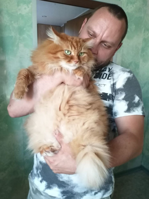 Антон, Россия, Москва, 35 лет, 2 ребенка. Познакомлюсь с женщиной для любви и серьезных отношений, брака и создания семьи, воспитания детей, рождения...  Анкета 869289. 