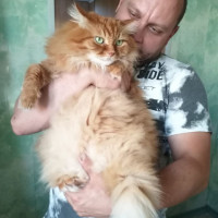 Антон, Россия, Москва, 35 лет