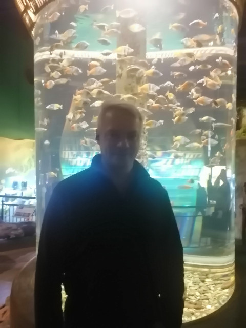 Александр, Санкт-Петербург, 49 лет, 1 ребенок, 1 фото. Он ищет её: женщину для любви и серьезных отношений, рождения совместных детей.  Анкета 869640. 