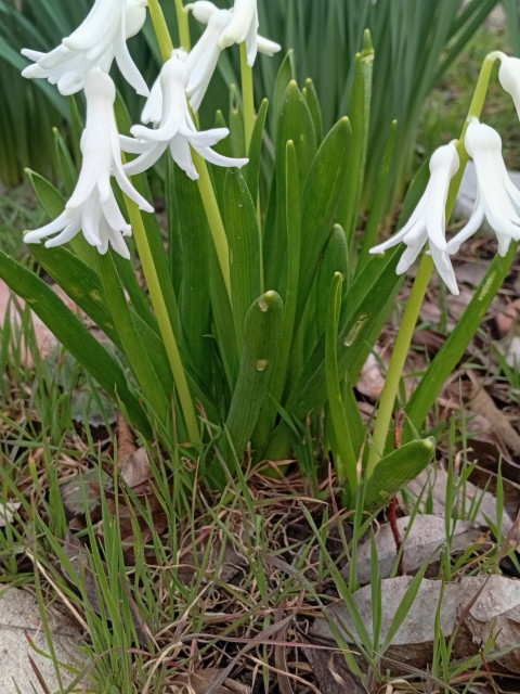Юрий, Россия, Краснодар. Фото на сайте ГдеПапа.Ру