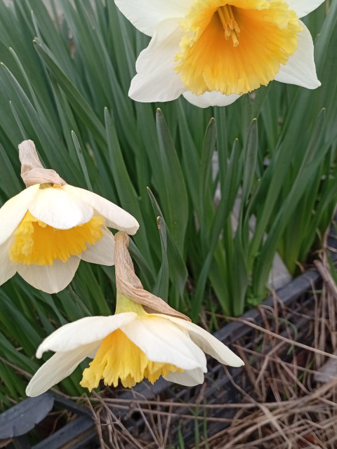 Юрий, Россия, Краснодар. Фото на сайте ГдеПапа.Ру