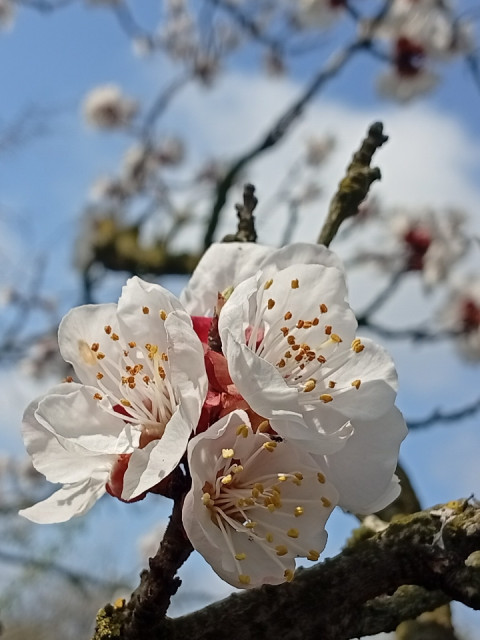 Юрий, Россия, Краснодар. Фото на сайте ГдеПапа.Ру