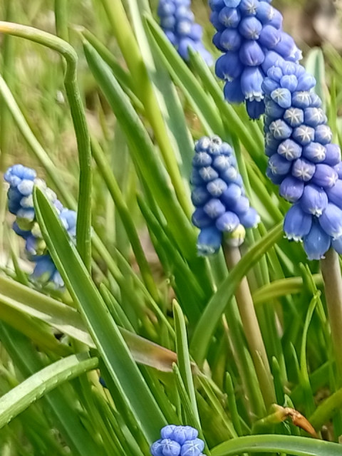 Юрий, Россия, Краснодар. Фото на сайте ГдеПапа.Ру