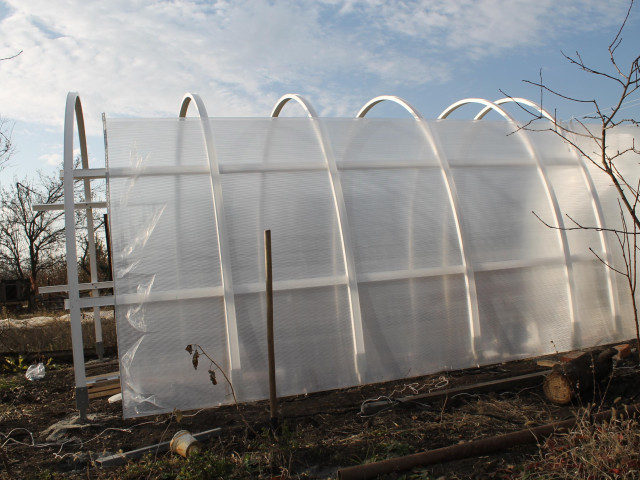 Юрий, Россия, Краснодар. Фото на сайте ГдеПапа.Ру