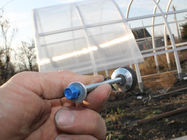 Юрий, Россия, Краснодар. Фото на сайте ГдеПапа.Ру