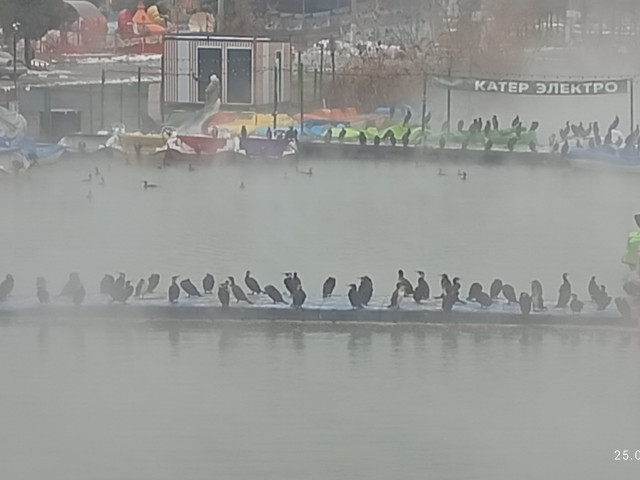 Юрий, Россия, Краснодар. Фото на сайте ГдеПапа.Ру