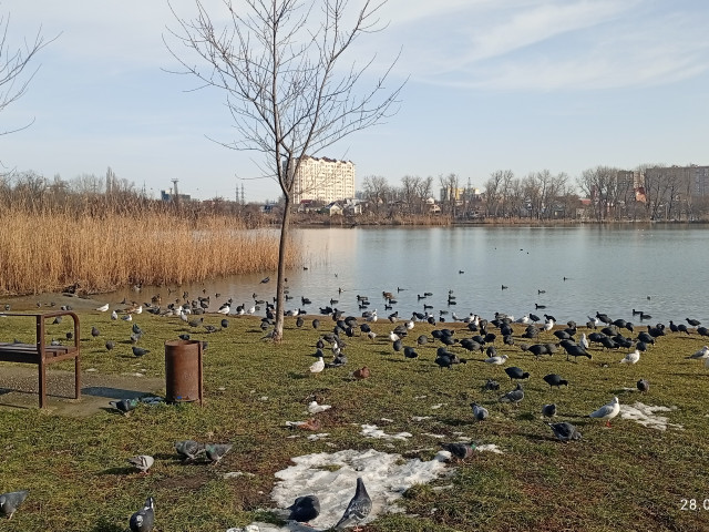 Юрий, Россия, Краснодар. Фото на сайте ГдеПапа.Ру