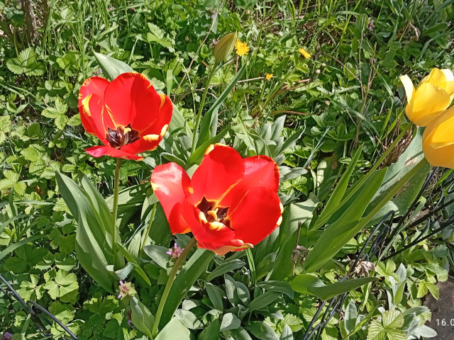 Юрий, Россия, Краснодар. Фото на сайте ГдеПапа.Ру