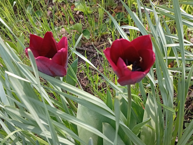 Юрий, Россия, Краснодар. Фото на сайте ГдеПапа.Ру