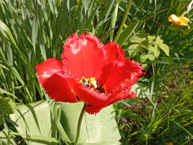 Юрий, Россия, Краснодар. Фото на сайте ГдеПапа.Ру