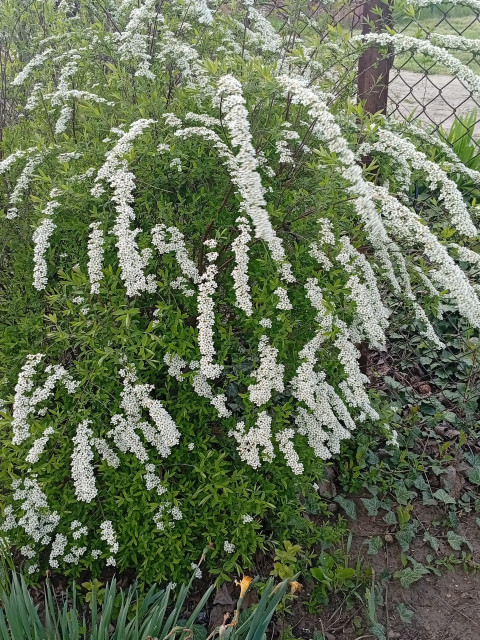 Юрий, Россия, Краснодар. Фото на сайте ГдеПапа.Ру