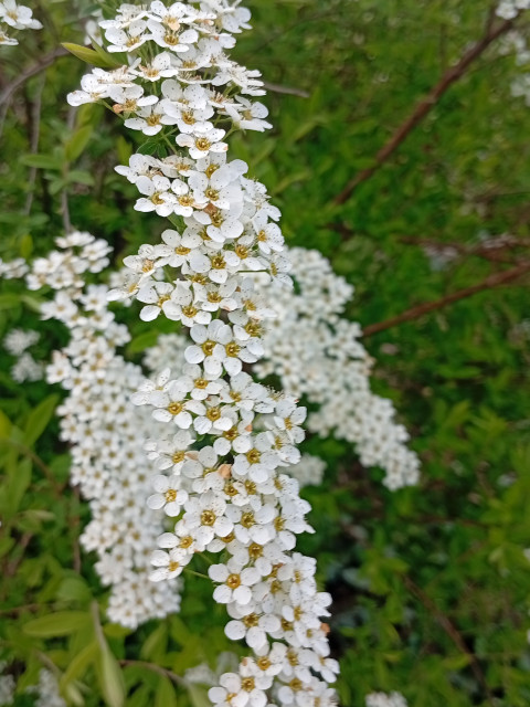 Юрий, Россия, Краснодар. Фото на сайте ГдеПапа.Ру
