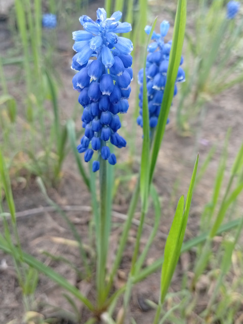 Юрий, Россия, Краснодар. Фото на сайте ГдеПапа.Ру