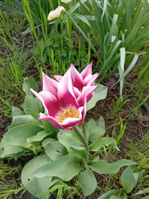 Юрий, Россия, Краснодар. Фото на сайте ГдеПапа.Ру