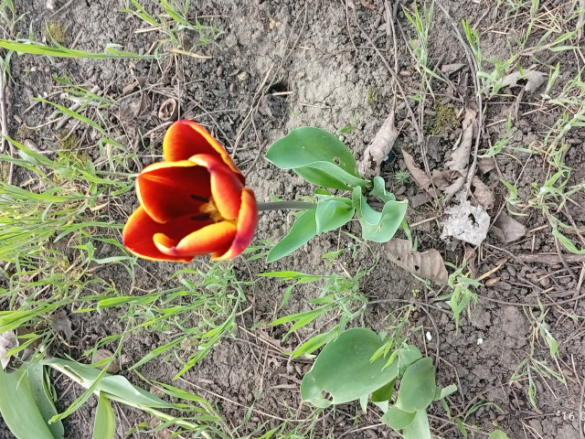 Юрий, Россия, Краснодар. Фото на сайте ГдеПапа.Ру