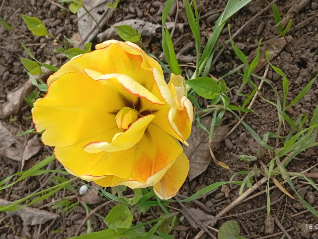 Юрий, Россия, Краснодар. Фото на сайте ГдеПапа.Ру