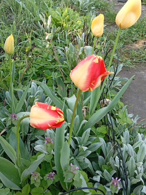 Юрий, Россия, Краснодар. Фото на сайте ГдеПапа.Ру