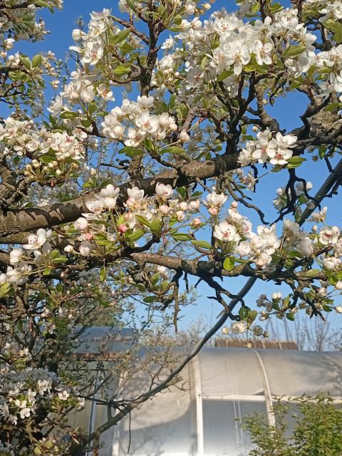 Юрий, Россия, Краснодар. Фото на сайте ГдеПапа.Ру