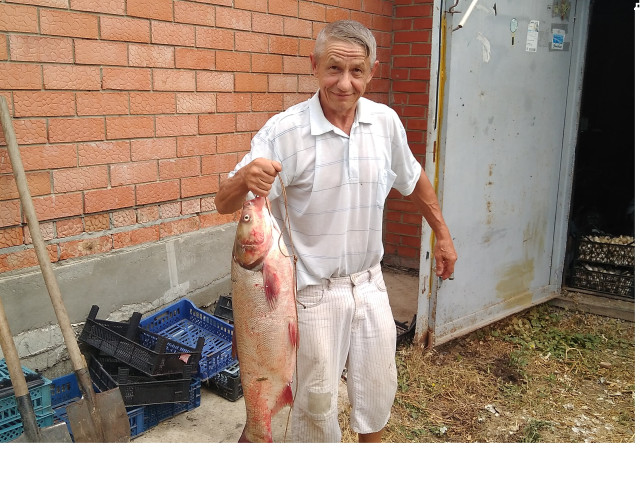 лобик потянул на 8 кг